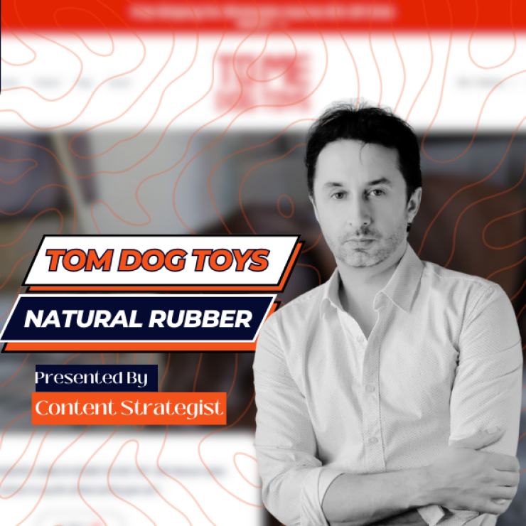 tomedogtoys website case study by Amir Khan